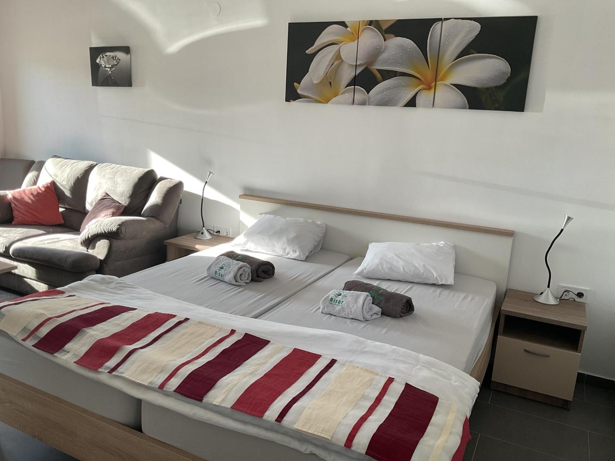Studio Apartmani Biser 1, 2, 3 Deluxe Tuheljske Toplice Exteriör bild